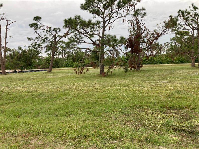25340 Alicante Drive - Photo 1