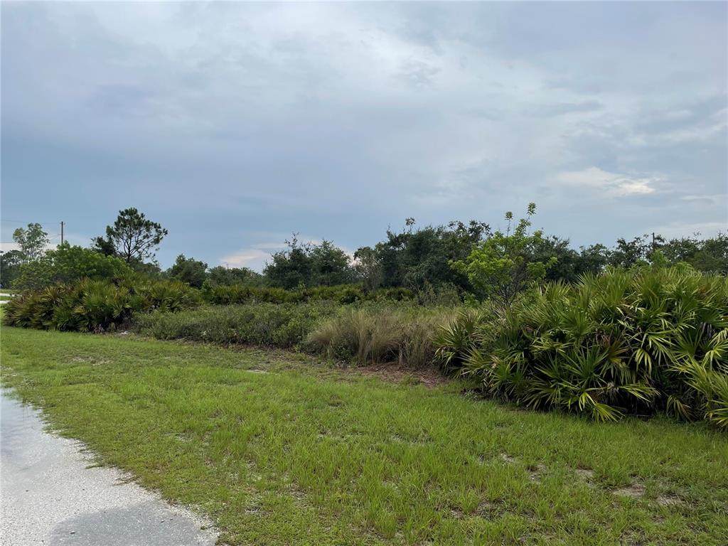 2000 Bermuda Road - Photo 1