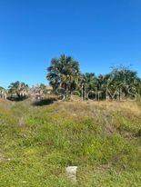 14272 Aurella Circle - Photo 11