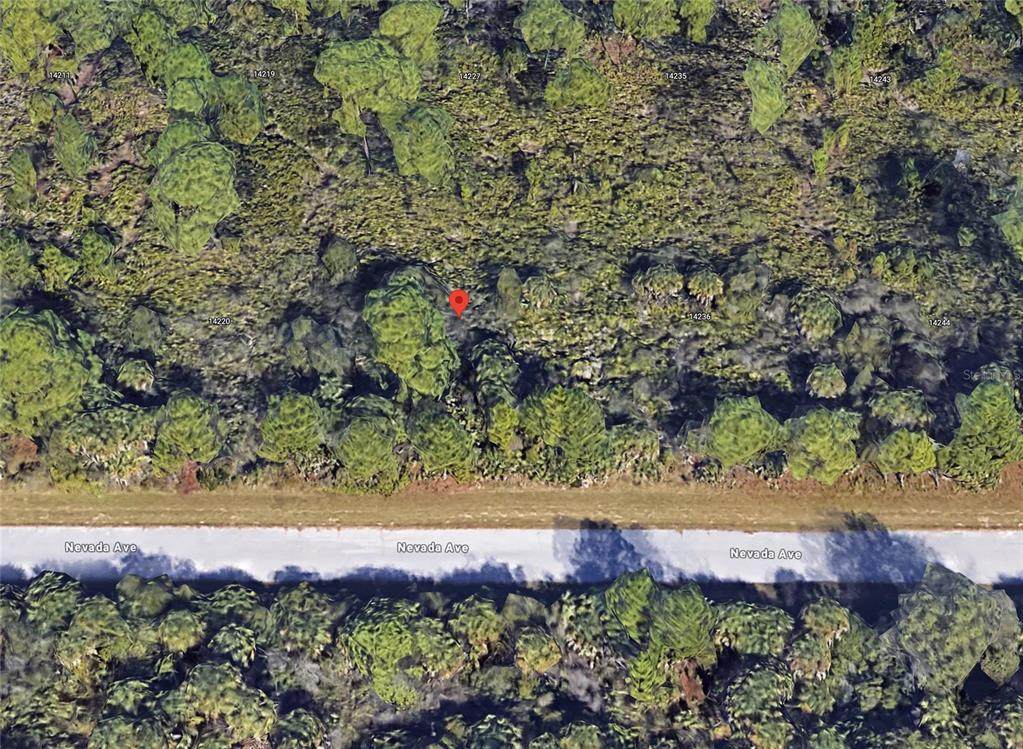 14228 Nevada Avenue - Photo 1