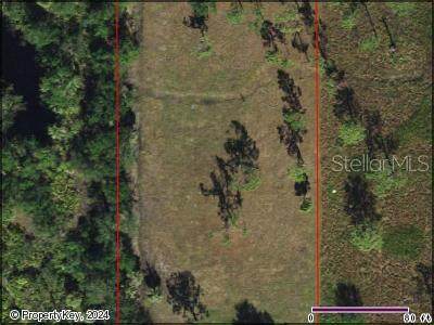 2550 Luther Road - Photo 1