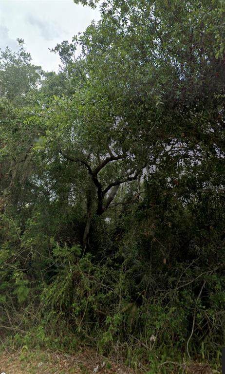 2105 Basin Street - Photo 1