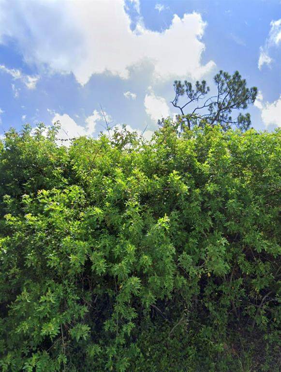 3518 Yarrow Street - Photo 1