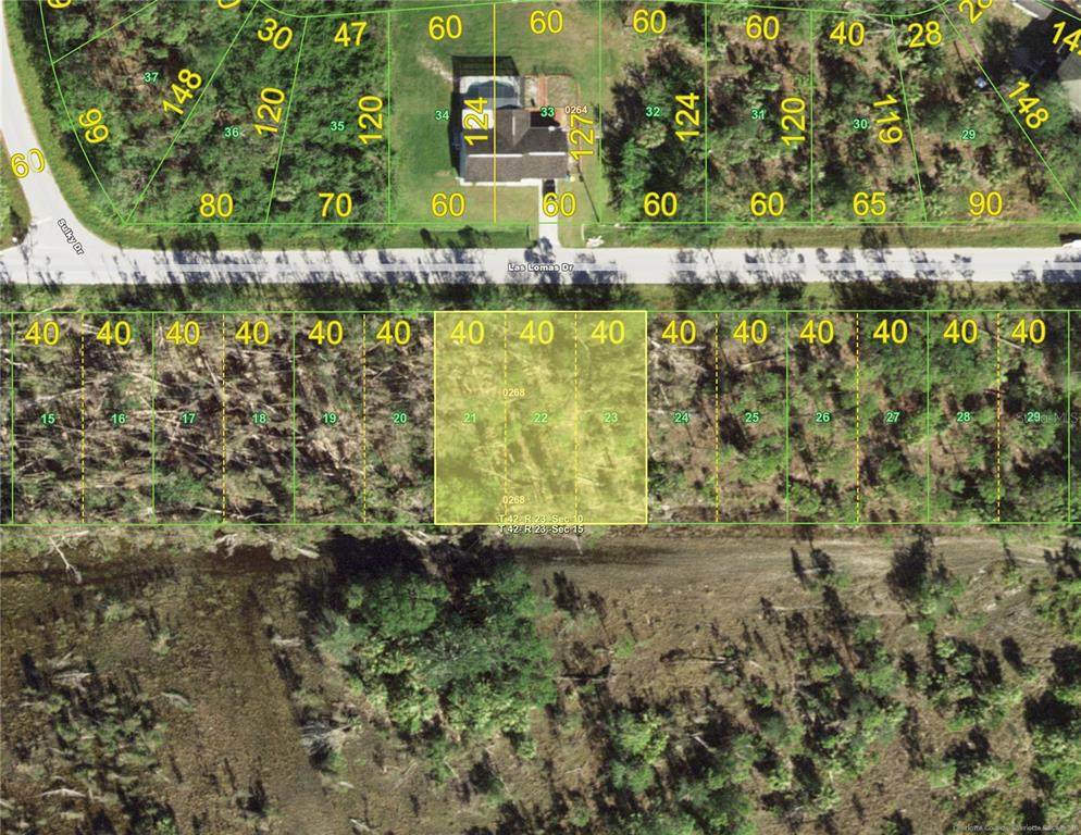 27343 Las Lomas Drive - Photo 1
