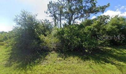 138 Smallwood Road - Photo 1