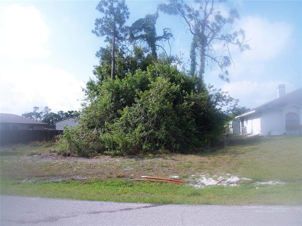 23337 Ferndale Avenue - Photo 1