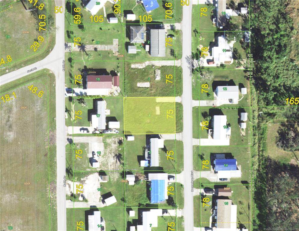 6854 Bernadean Boulevard - Photo 1