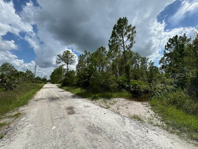 29460 Clara Drive - Photo 1