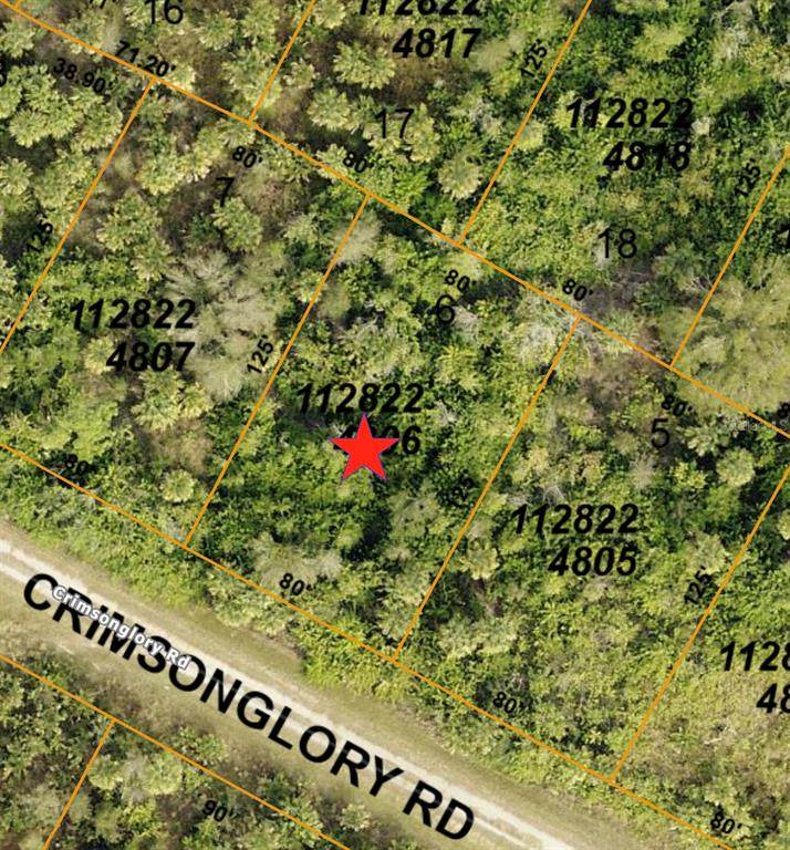  Crimsonglory Road - Photo 1