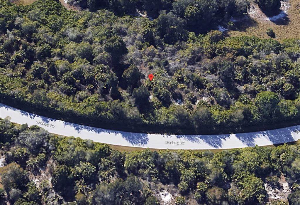 7202 Freeberg Circle - Photo 1