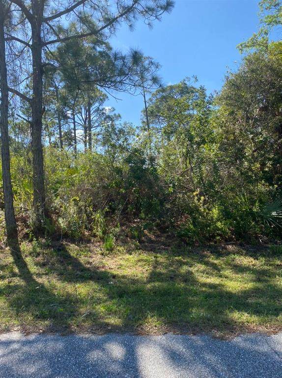 3261 Callisto Street - Photo 1