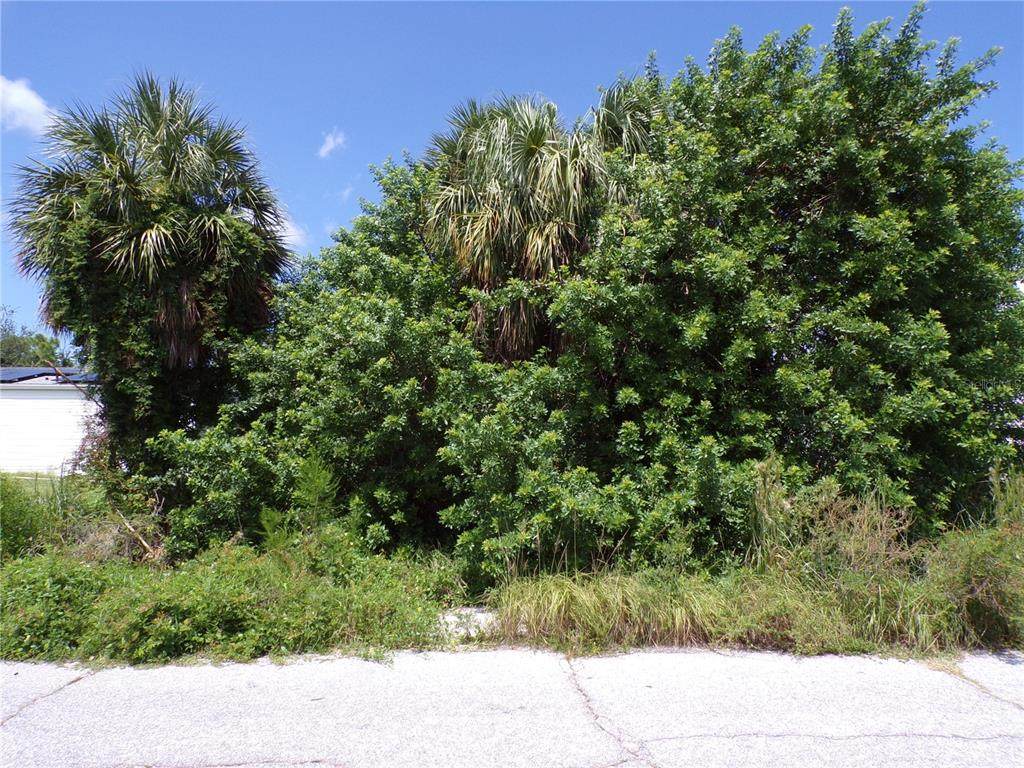 2423 Sunshine Boulevard - Photo 1