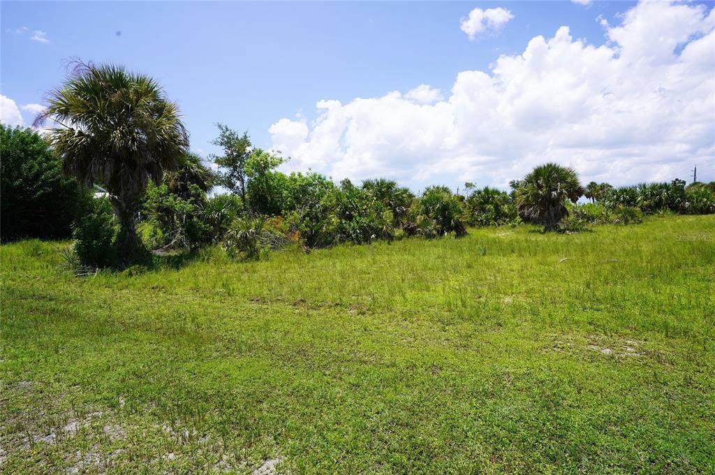 14611 Ingraham Boulevard - Photo 1