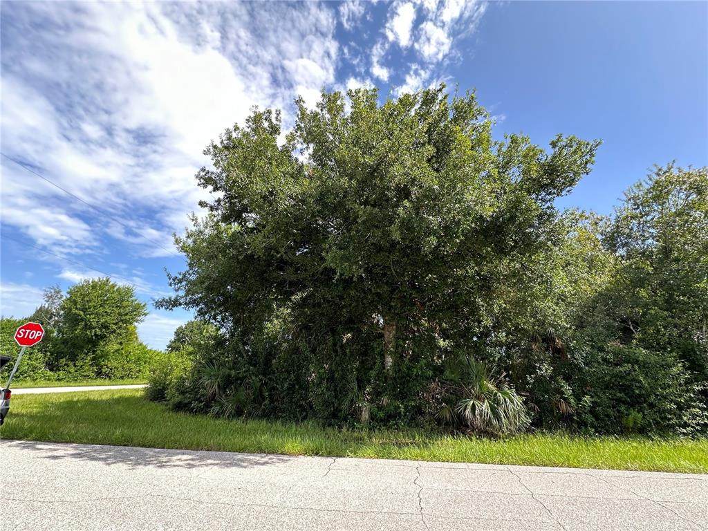 12088 Henley Avenue - Photo 1