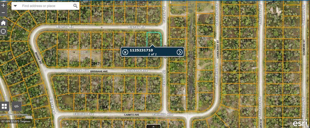 Lot#9 Calaba Street - Photo 1
