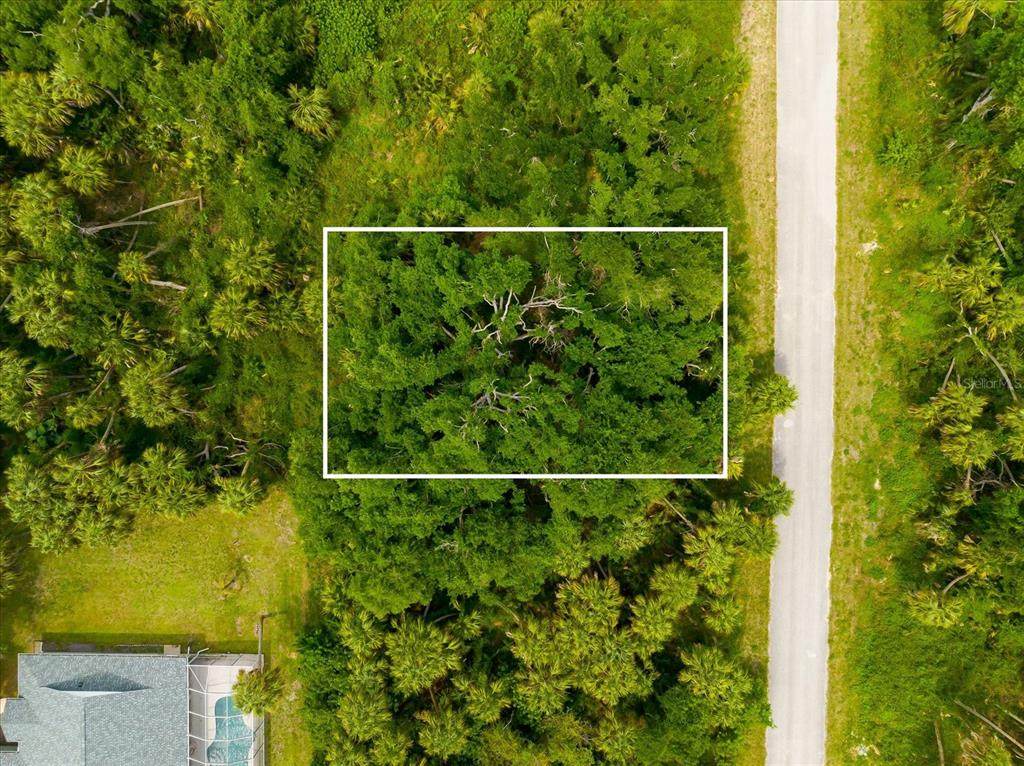 397 Kezar Street - Photo 1