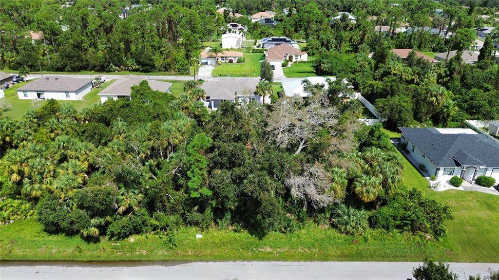 LOTS 30 & 31 Nemo Avenue - Photo 1