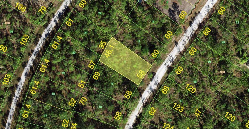 12253 Escuela Drive - Photo 1