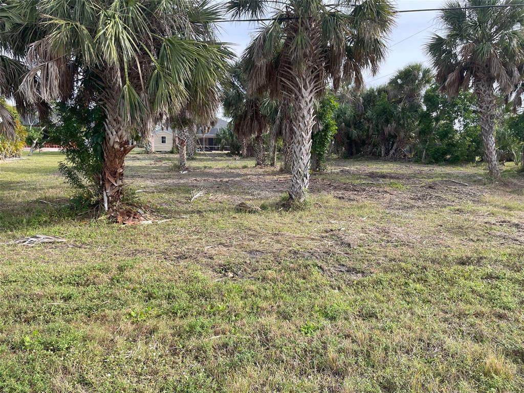 4376 Flamingo Boulevard - Photo 1