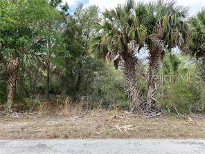3399 Jewel Street - Photo 1