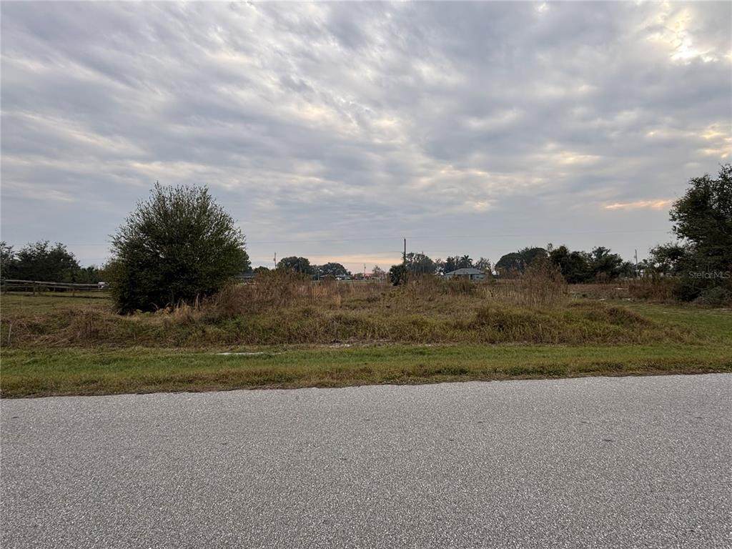 31083 Peace Street - Photo 1