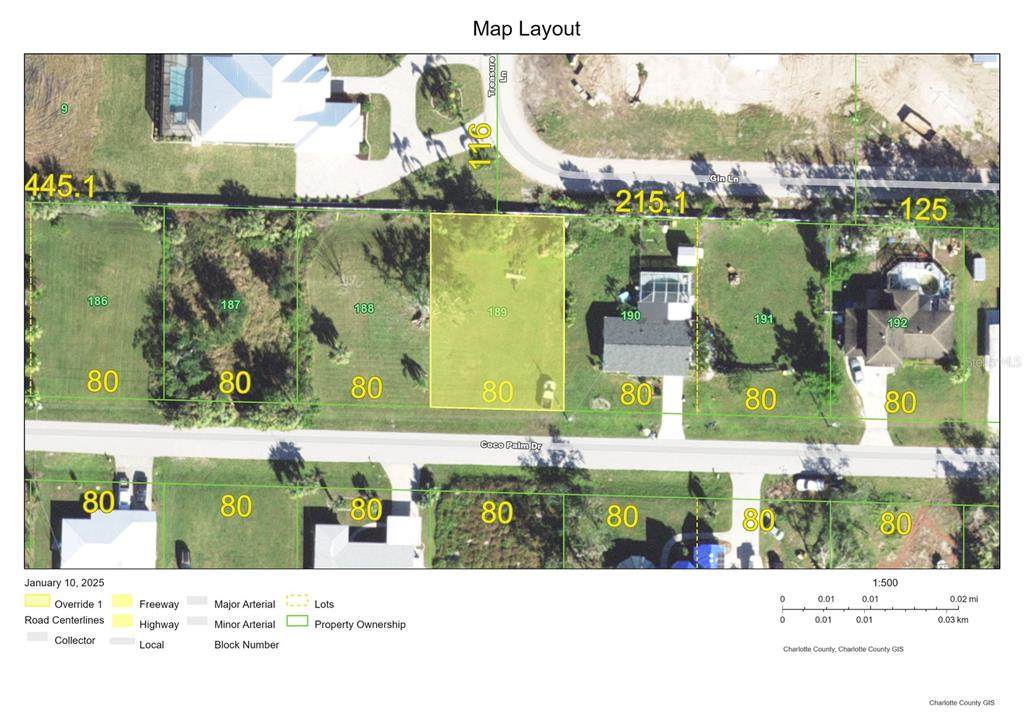 28434 Coco Palm Drive - Photo 1