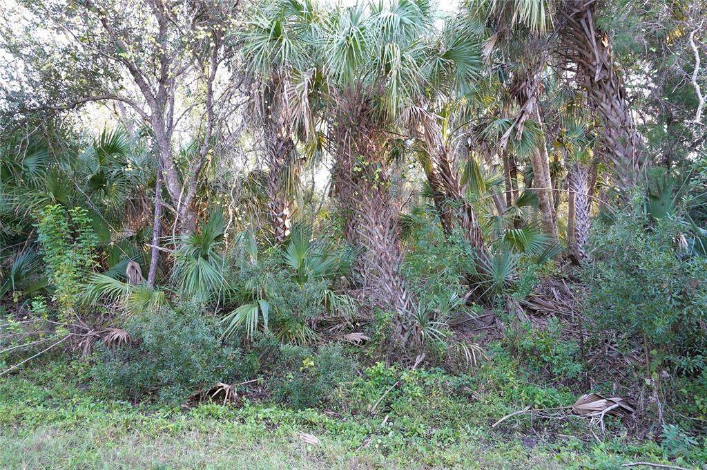 14299 Cannell Lane - Photo 1