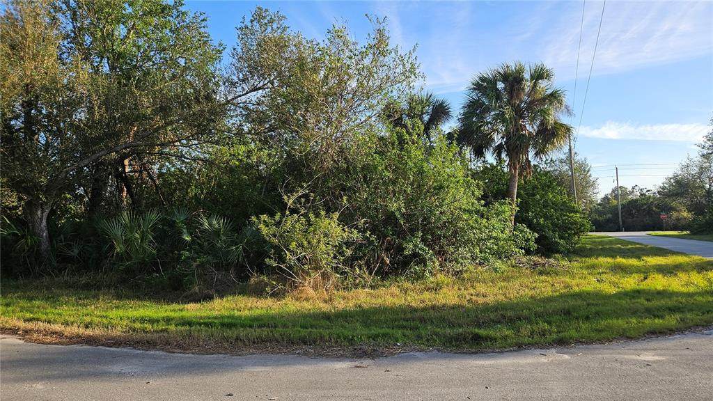 14417 Rowan Avenue - Photo 1