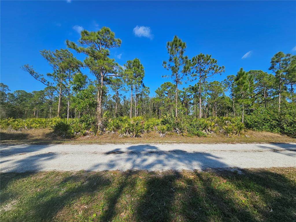 27342 Balboa Drive - Photo 1