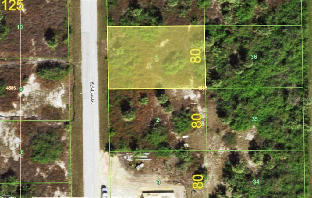 10194 Arcadia Street - Photo 1