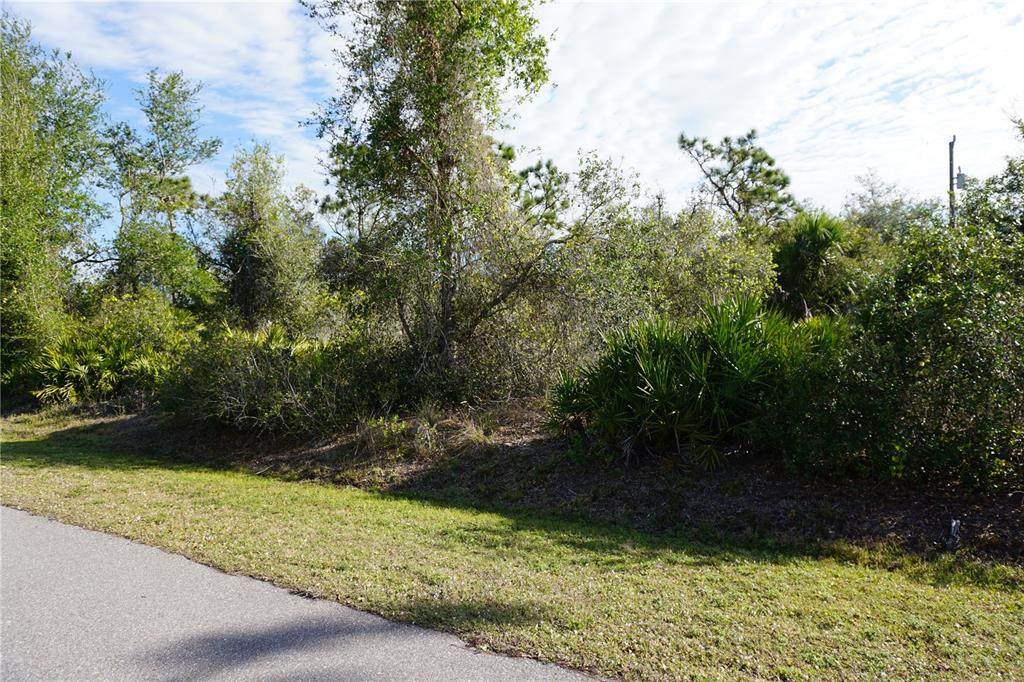 334 Omen Street - Photo 1