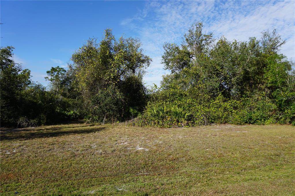 323 Hiram Street - Photo 1
