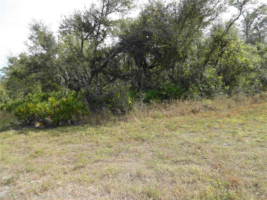 17043 Arthur Avenue - Photo 1