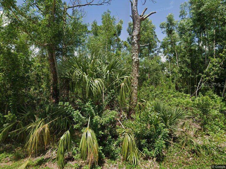 28210 Twin Lakes Drive - Photo 1