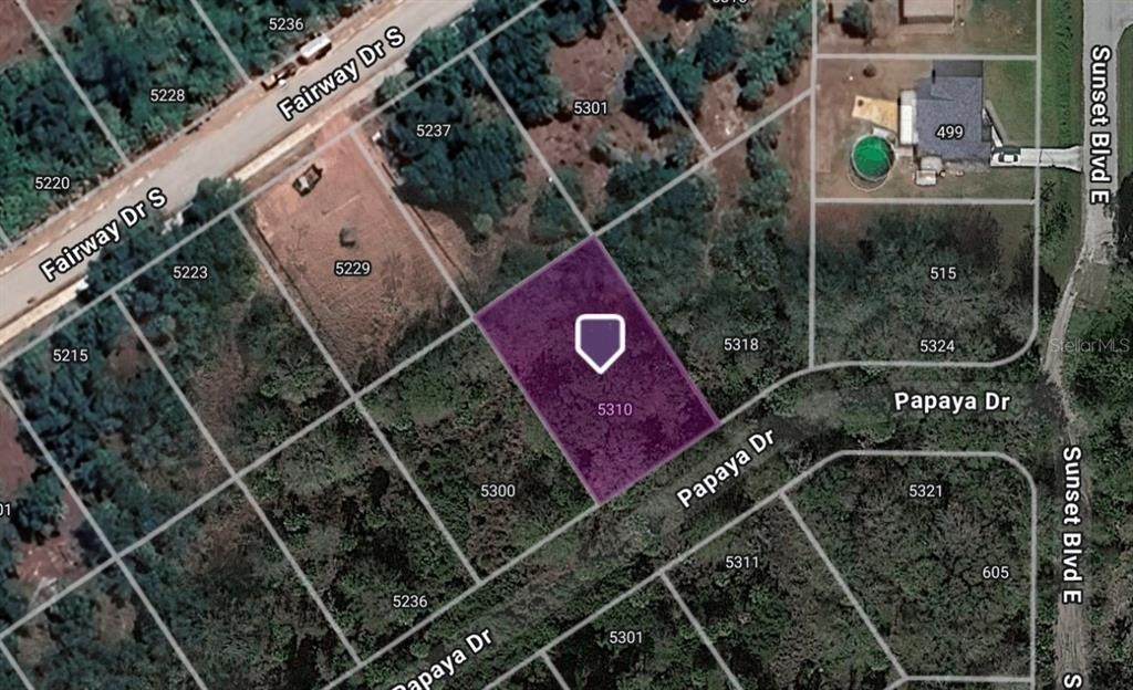 5310 Papaya Drive - Photo 1