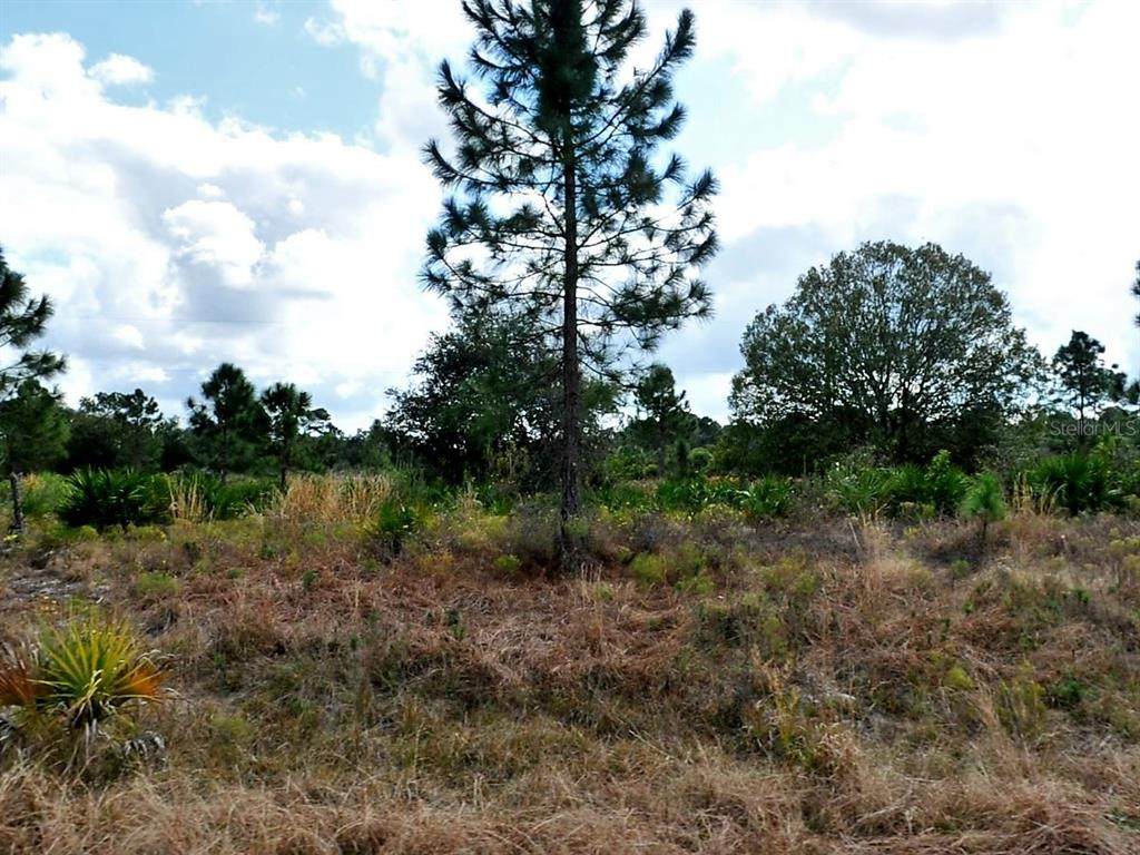  Winterville Circle - Photo 1