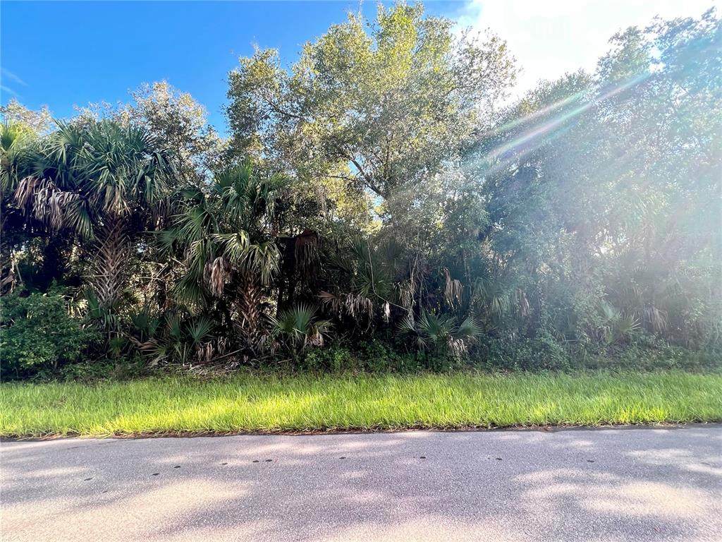 14463 Black Avenue - Photo 1
