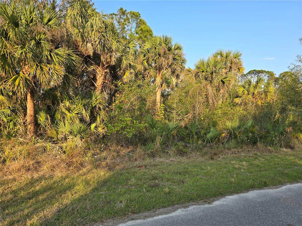 348 Ramblewood Street - Photo 1