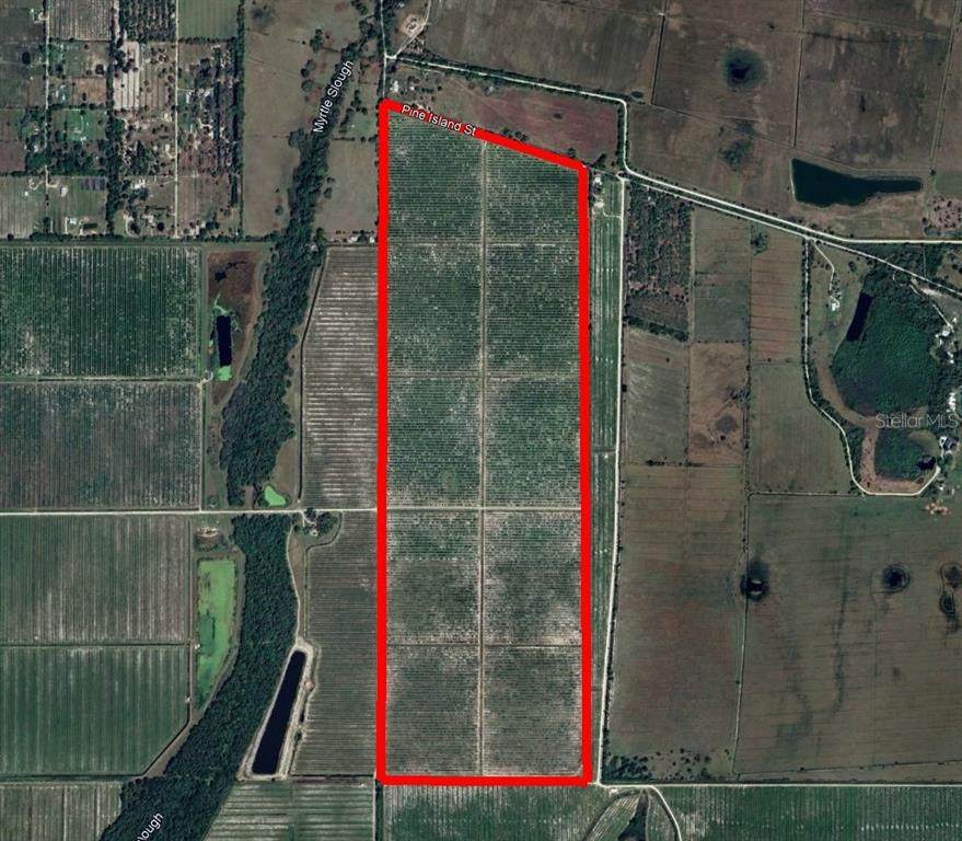 7019 Prairie Creek Road - Photo 1