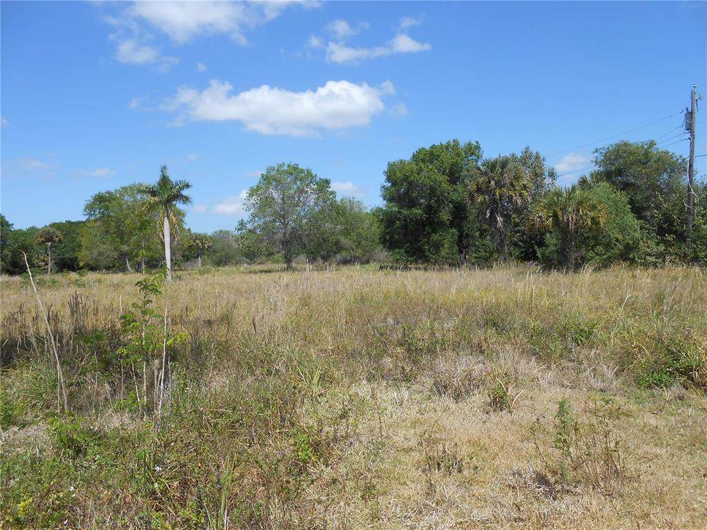 25480 Dundee Road - Photo 1