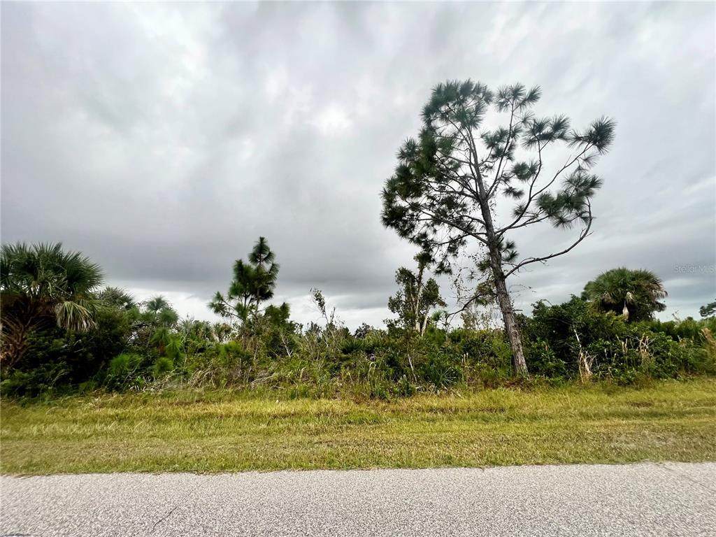 12113 Snow Bird Avenue - Photo 1