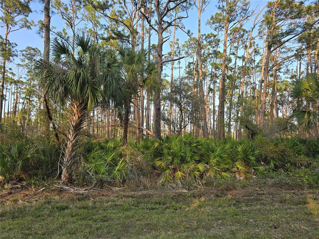 12522 Ranch Avenue - Photo 1