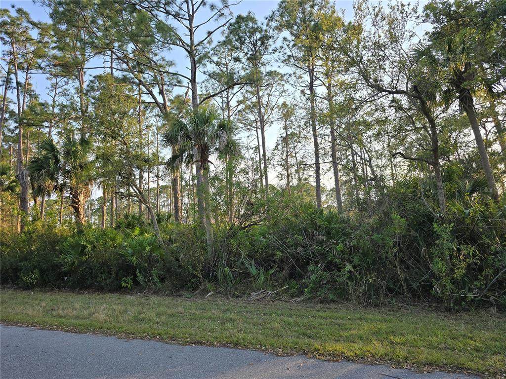 12469 Harlow Avenue - Photo 1