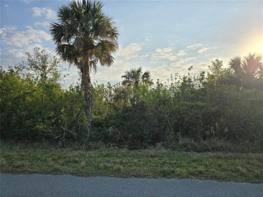 12259 Cassino Avenue - Photo 1