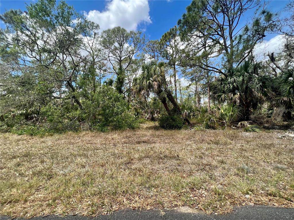 1041 Sherwin Street - Photo 1