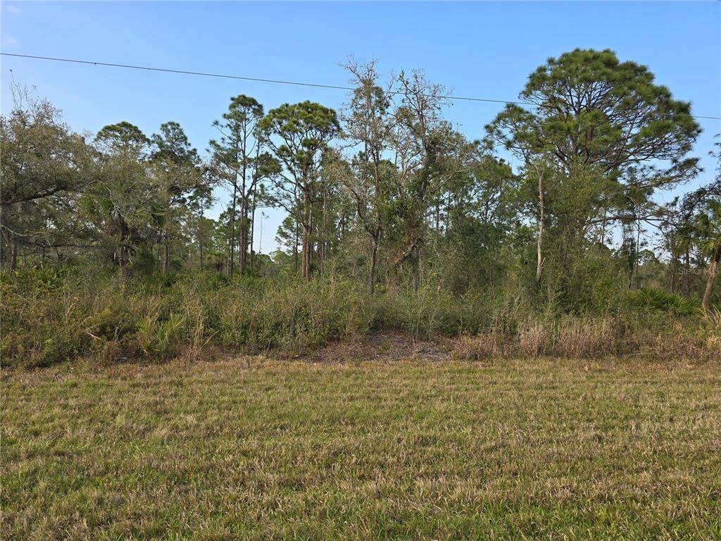 844 Biscayne Drive - Photo 1