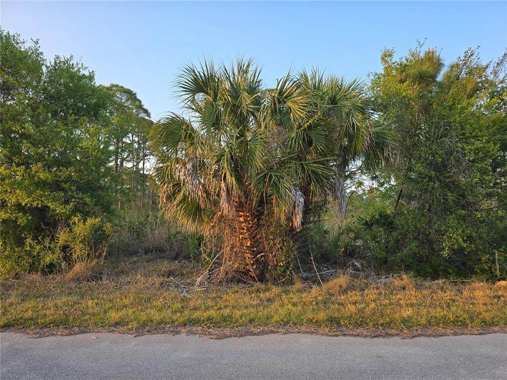 13510 Suribachi Avenue - Photo 1