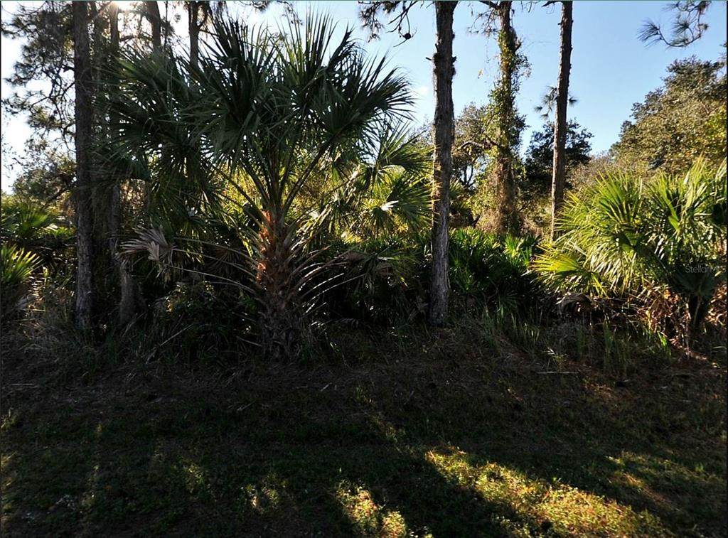 Lot 17 Ruiz Street - Photo 1