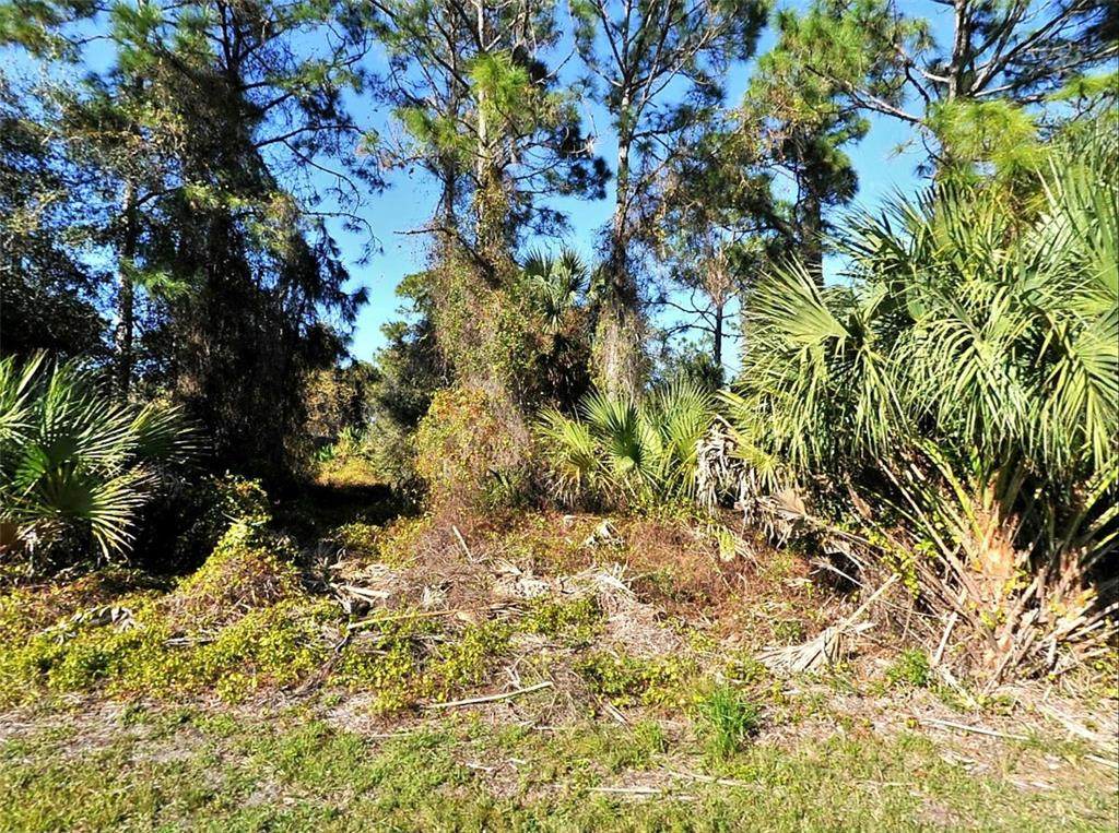 Lot 24 Renfro Avenue - Photo 1
