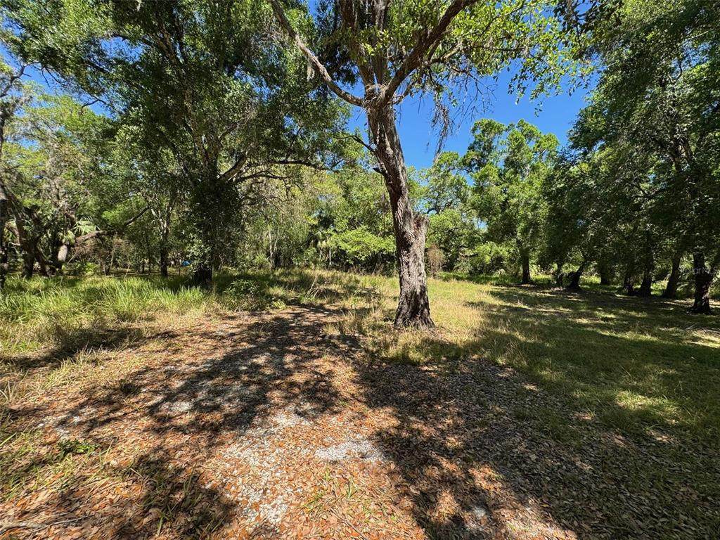 1284 River Mill Drive - Photo 1